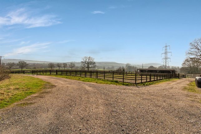 Greenacres, Honiton photo 4