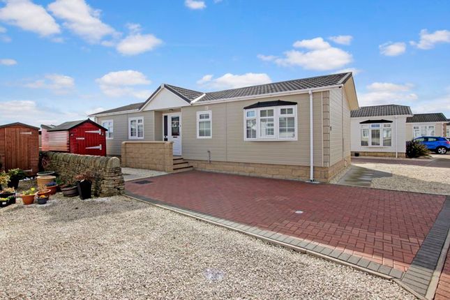 Thumbnail Property for sale in Basin View Crescent, Montrose