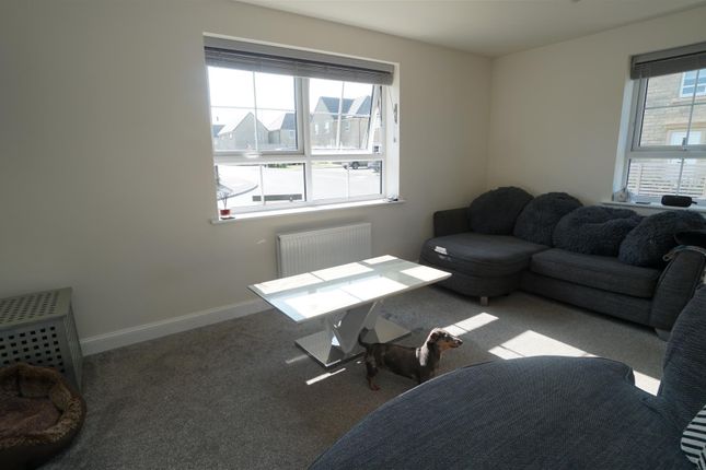 22, Billets Avenue, Bradford photo 3