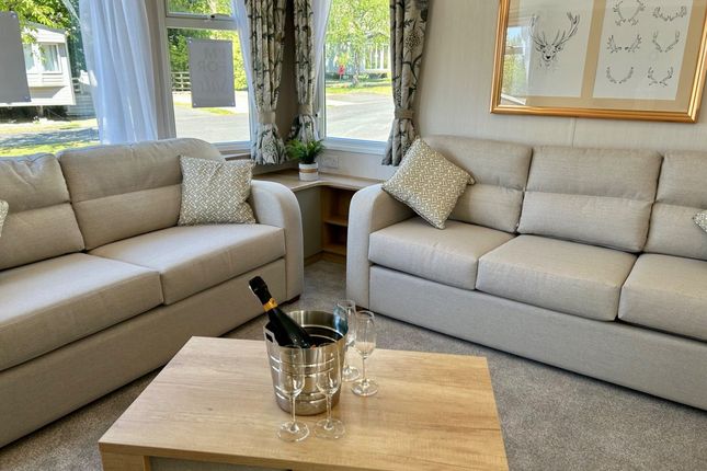 Yorkshire Dales Country And Leisure Park, Harmby Rd Harmby, Leyburn photo 3