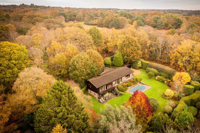Viewswood, Fairwarp, Uckfield photo 4