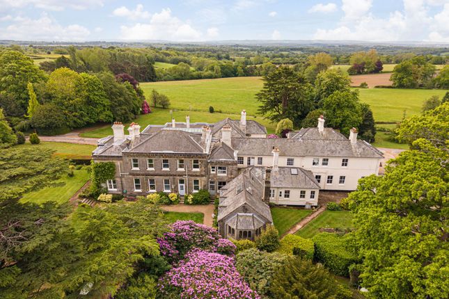 Wye House, East Grinstead photo 4