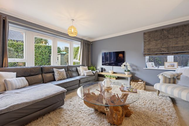 Barton Court Avenue, New Milton photo 3