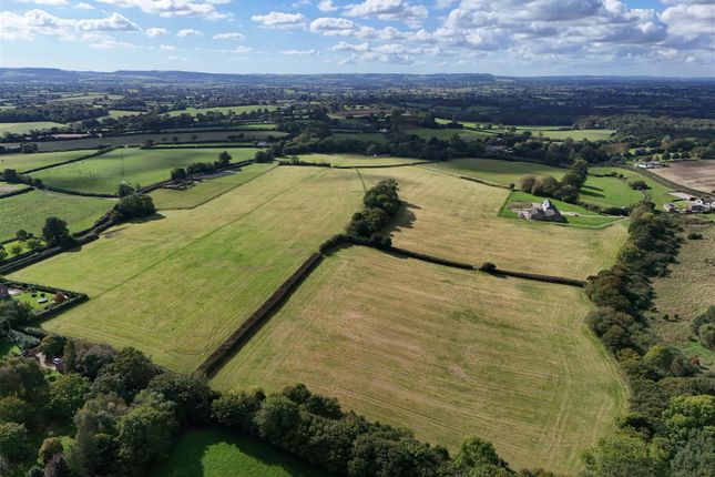 Lower Sandhills Farm, Fifehead Neville, Dorset photo 4