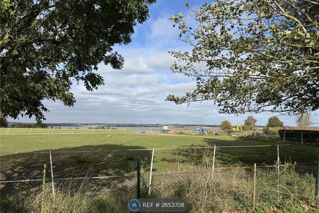 Uninterrupted Views / Horses Grazing