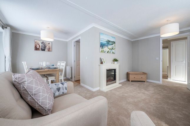 Omar Middleton, Hull Road, Woodmansey photo 4