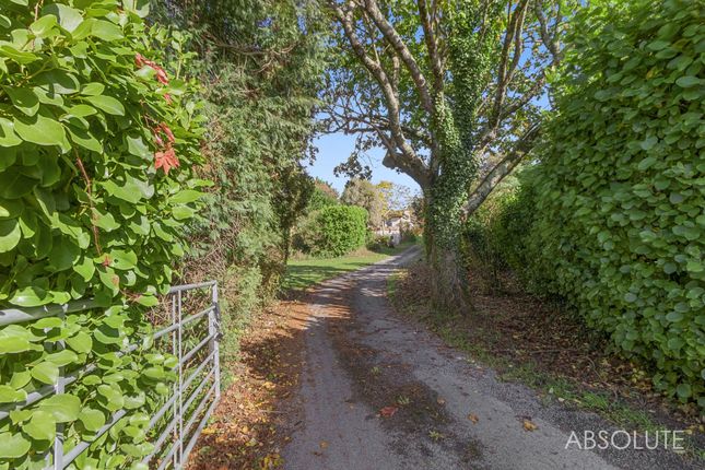 Field House Brixham Road, Paignton photo 4