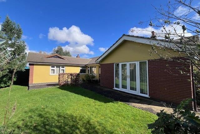 Detached bungalow to rent in Station Road, North Thoresby, Grimsby