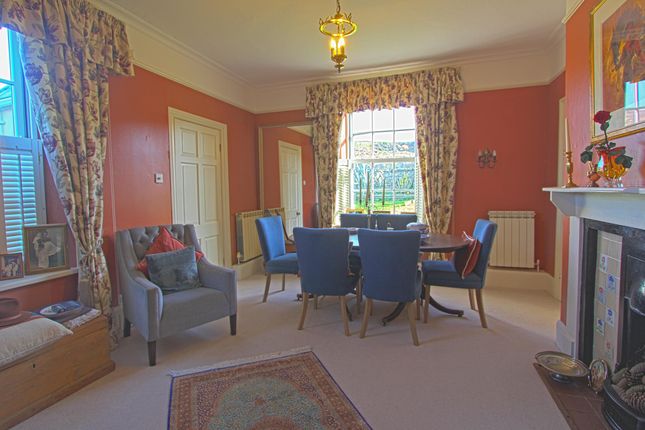 Saye Farm, Mannez, Alderney photo 4