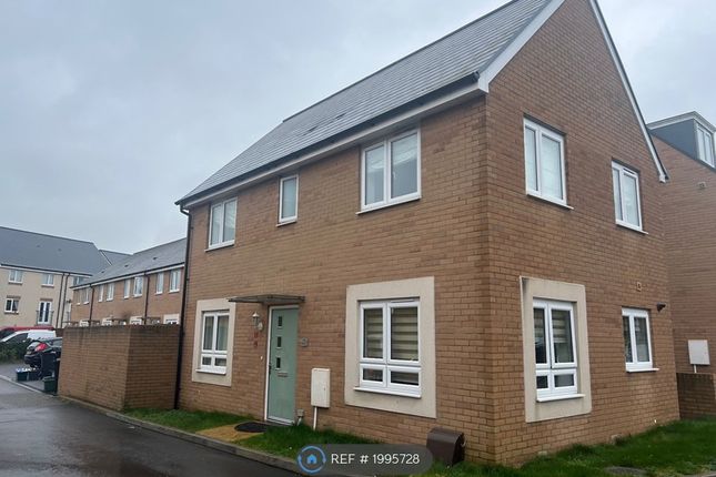 Thumbnail Detached house to rent in Snowdrop Drive, Emersons Green, Bristol