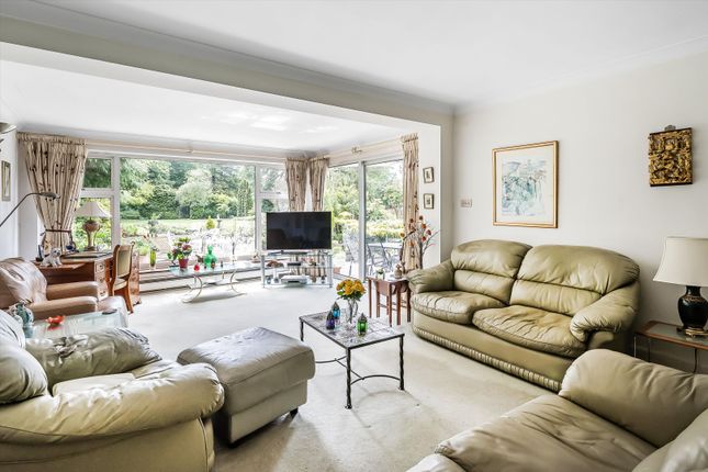 20, Pewley Hill, Guildford photo 3