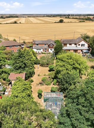 Wyldings,, Barling Road, Barling photo 4