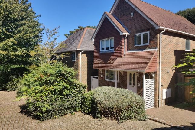 Thumbnail Detached house to rent in Beachy Head Road, Eastbourne