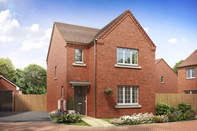 3 Bedroom Houses To Let In Peterborough Primelocation