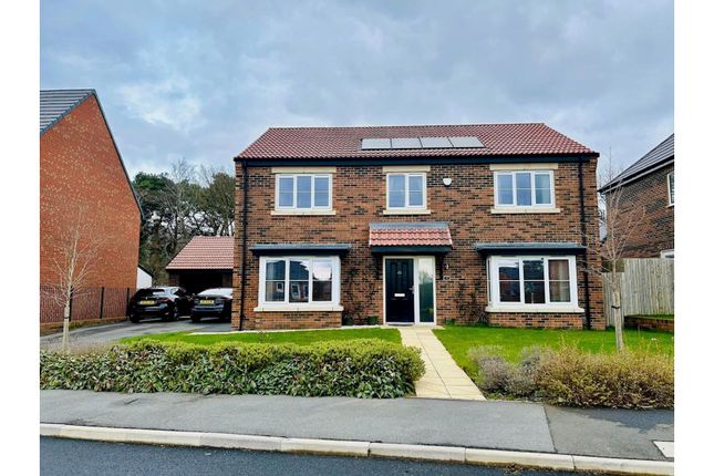 Thumbnail Detached house for sale in Maiden View, Durham