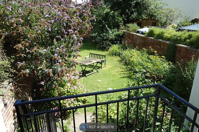 Garden From Verandah