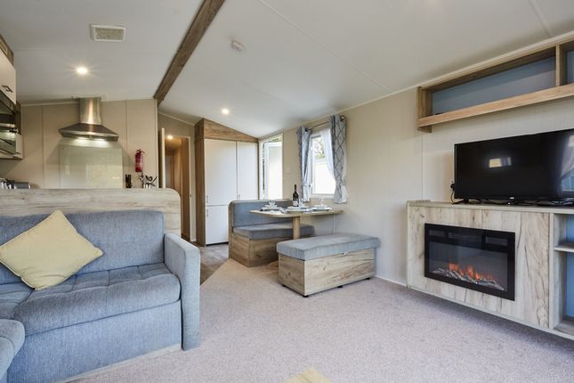 Campsie Glen Holiday Park, Fintry, Glasgow photo 5