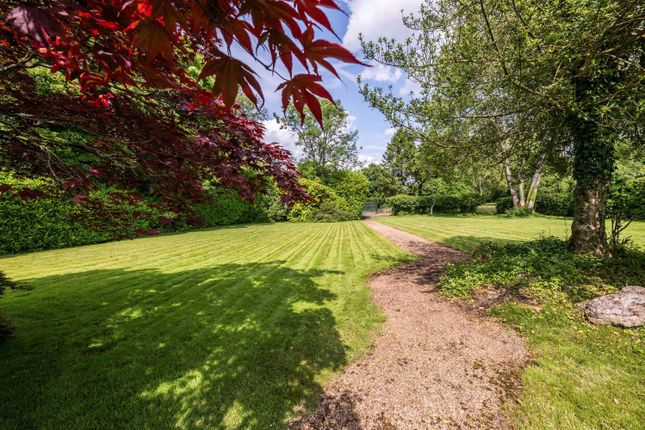 Main Road, Knockholt photo 2