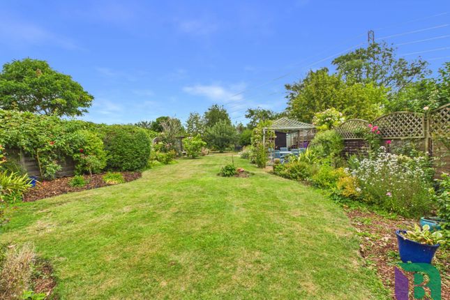 156a, Lower Shelton Road, Bedford photo 2