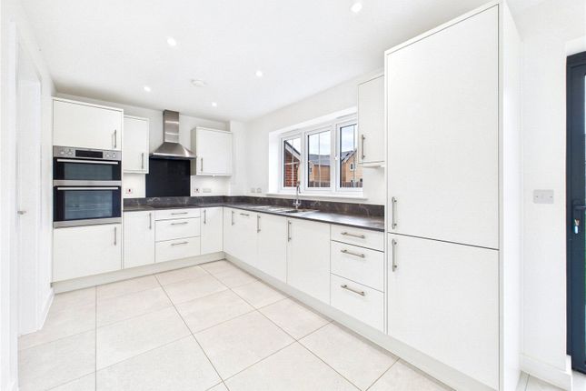 16, Rosa Road, Colchester photo 3