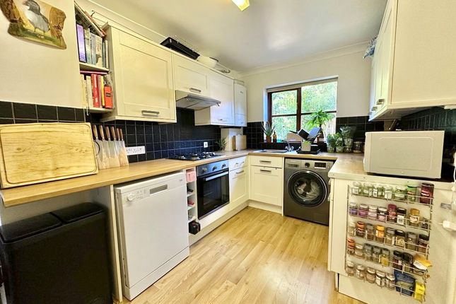 25, Winchester photo 4