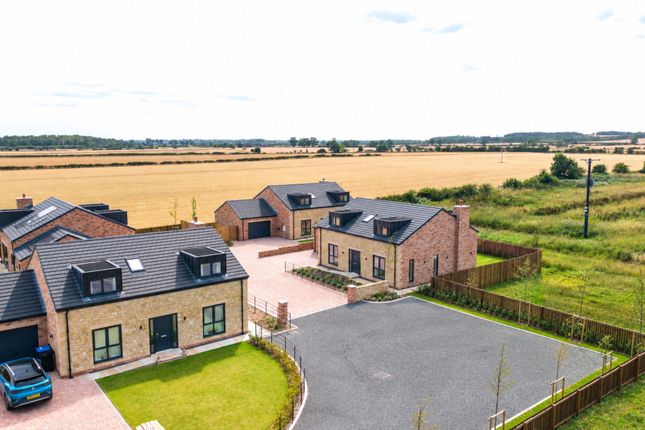 Southcroft Farm Ulgham, Morpeth photo 2