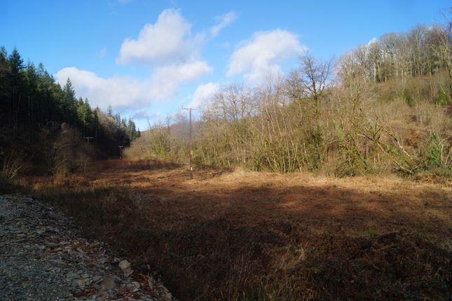 Land for sale in Cwmcych, Llanfyrnach