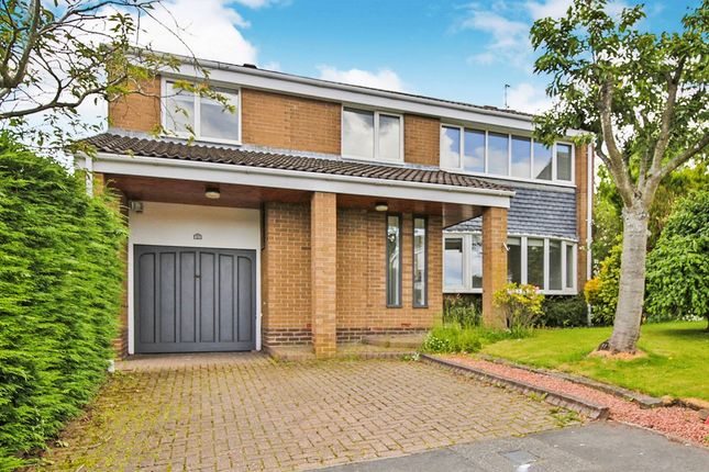 Thumbnail Detached house to rent in Bromley Close, High Shincliffe, Durham