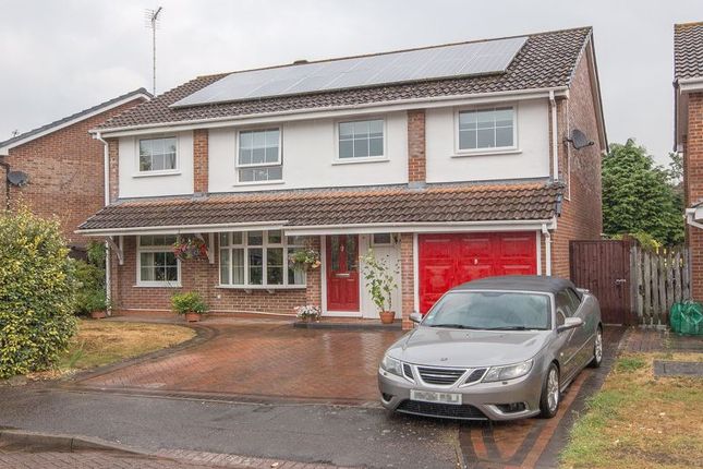 Thumbnail Detached house for sale in Plover Road, Totton, Southampton