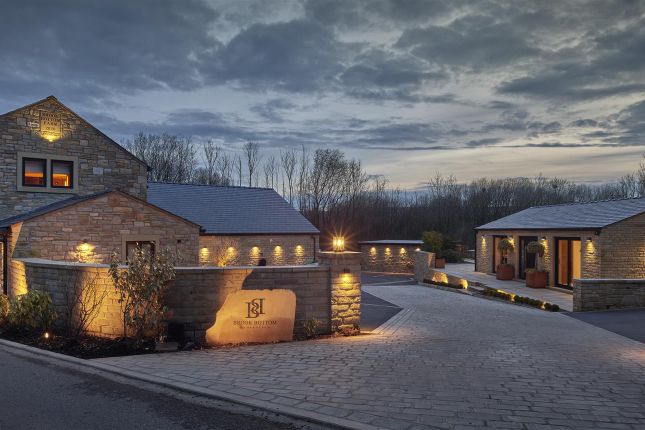 Brook Bottom By Night - Wide