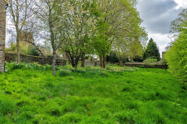 Orchard