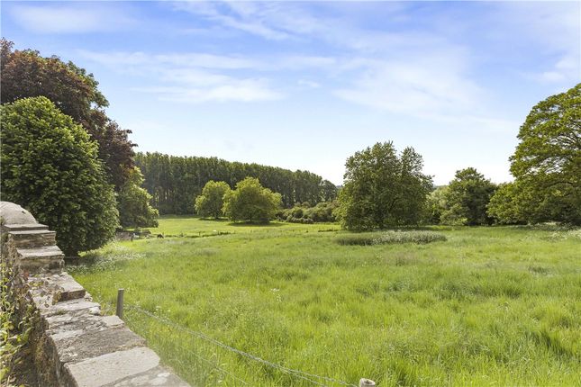 View From Garden
