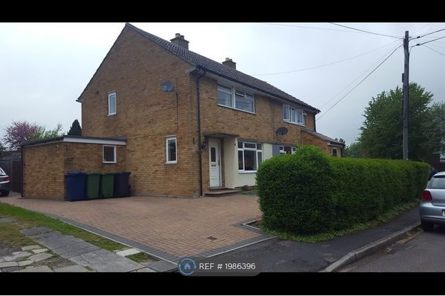 Thumbnail Semi-detached house to rent in Blakeland Hill, Duxford, Cambridge