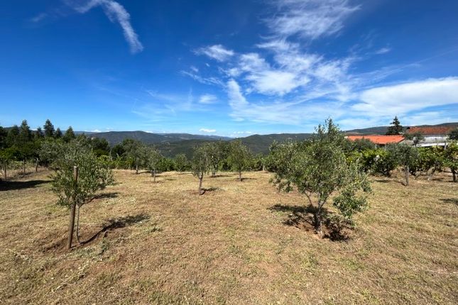 Land for sale in Madeirã, Oleiros, Castelo Branco, Central Portugal