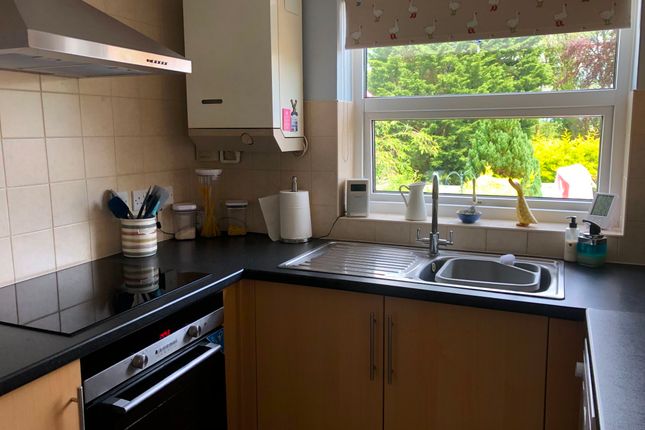 7 Castle Terrace, Cranbrook Road, Cranbrook photo 5