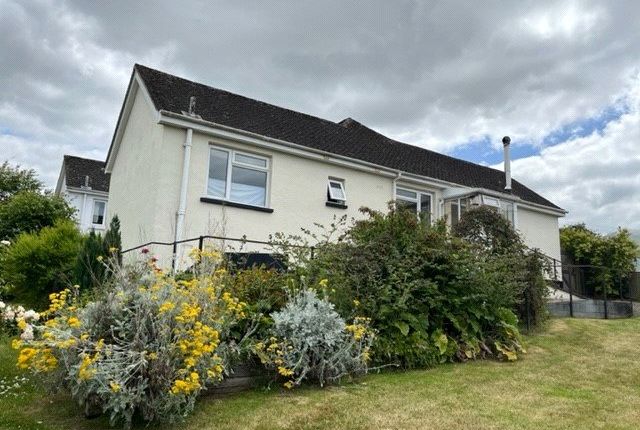 Thumbnail Detached house to rent in Dragons Mead, Axminster, Devon