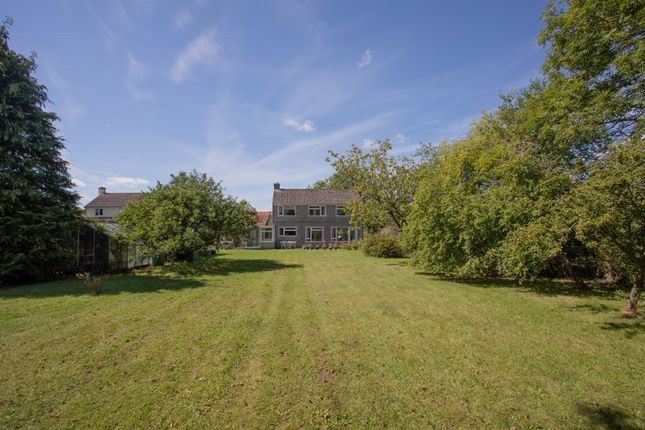 Detached house for sale in Low Ham, Langport