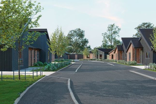 Plot 15, Oak Tree Close, Norwich photo 3
