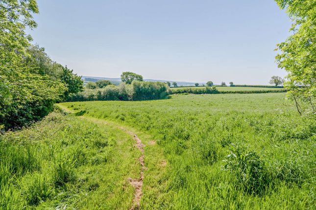 Grounds