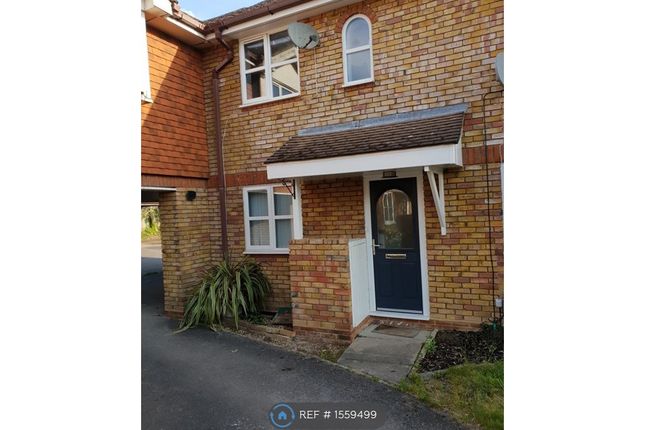 Thumbnail Terraced house to rent in Jenkyns Close, Botley, Southampton