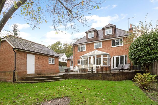 Thumbnail Detached house for sale in Chertsey Road, Windlesham, Surrey