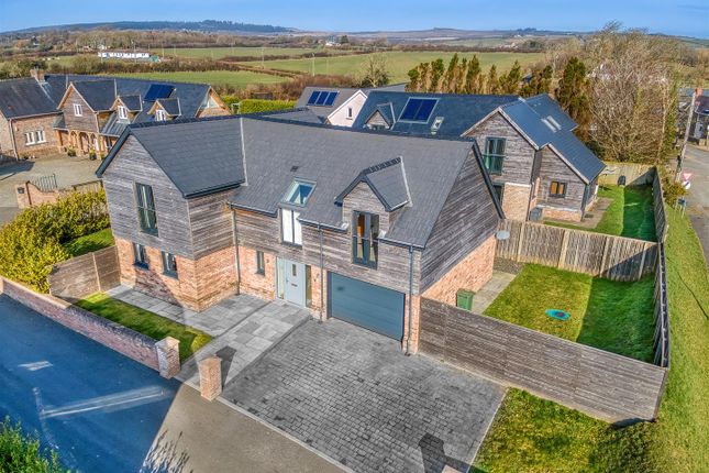 Dji_0374_Hdr-Denoiseai-Clear.Jpg