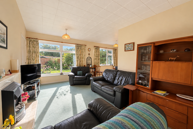 The Morwoods, Leicester photo 2