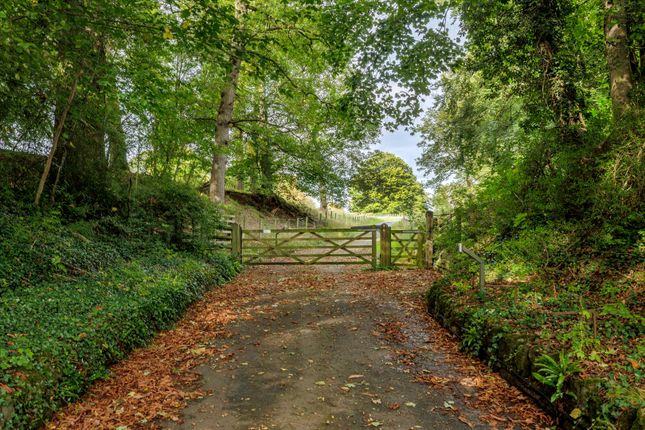 Little Hereford, Ludlow photo 4
