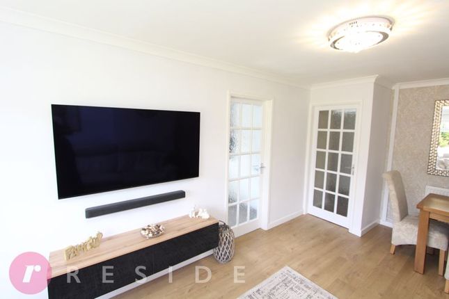 Lounge / Dining Area