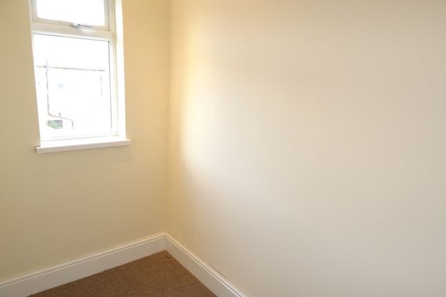 21, Sheffield photo 5