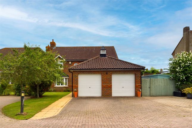 Thumbnail Detached house for sale in The Avenue, Biggleswade, Bedfordshire