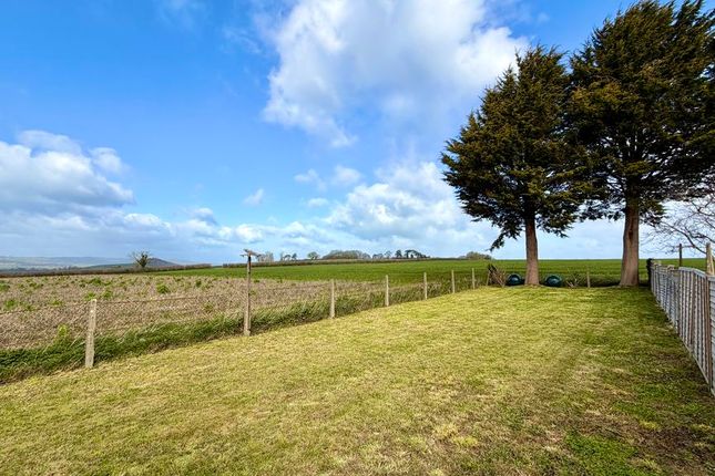 1, Moolham Lane, Ilminster photo 2
