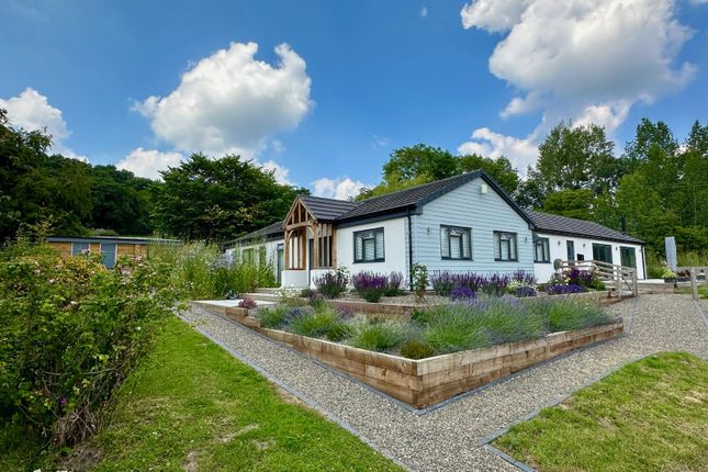 Camp Lane, Shelsley Beauchamp, Worcester WR6 bungalows for sale 