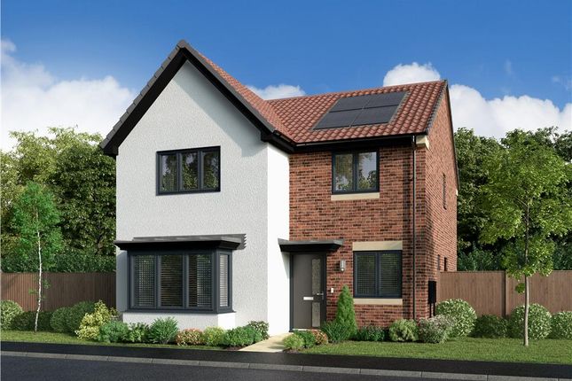 Thumbnail Detached house for sale in "The Poplar" at The Ladle, Middlesbrough